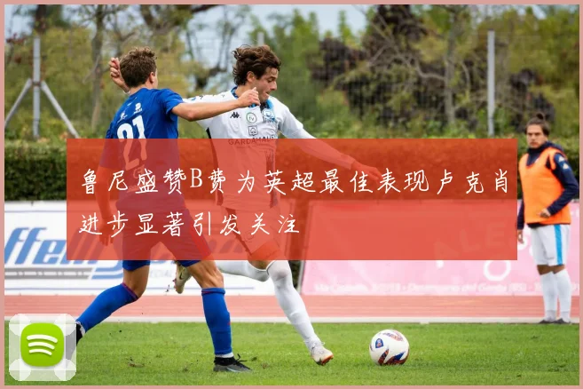 鲁尼盛赞B费为英超最佳表现卢克肖进步显著引发关注