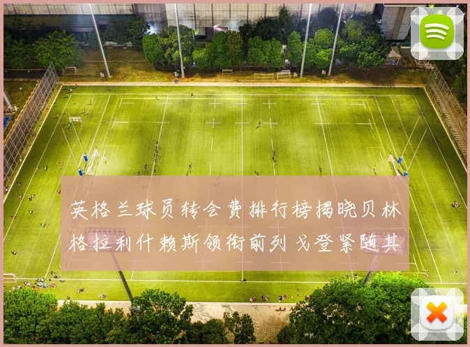 英格兰球员转会费排行榜揭晓贝林格拉利什赖斯领衔前列戈登紧随其后